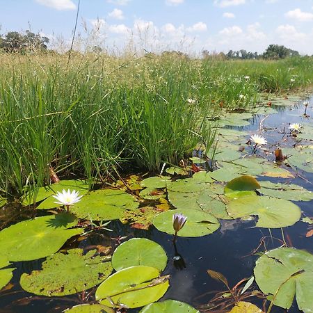 Golentle Home Stay Maun Exteriér fotografie
