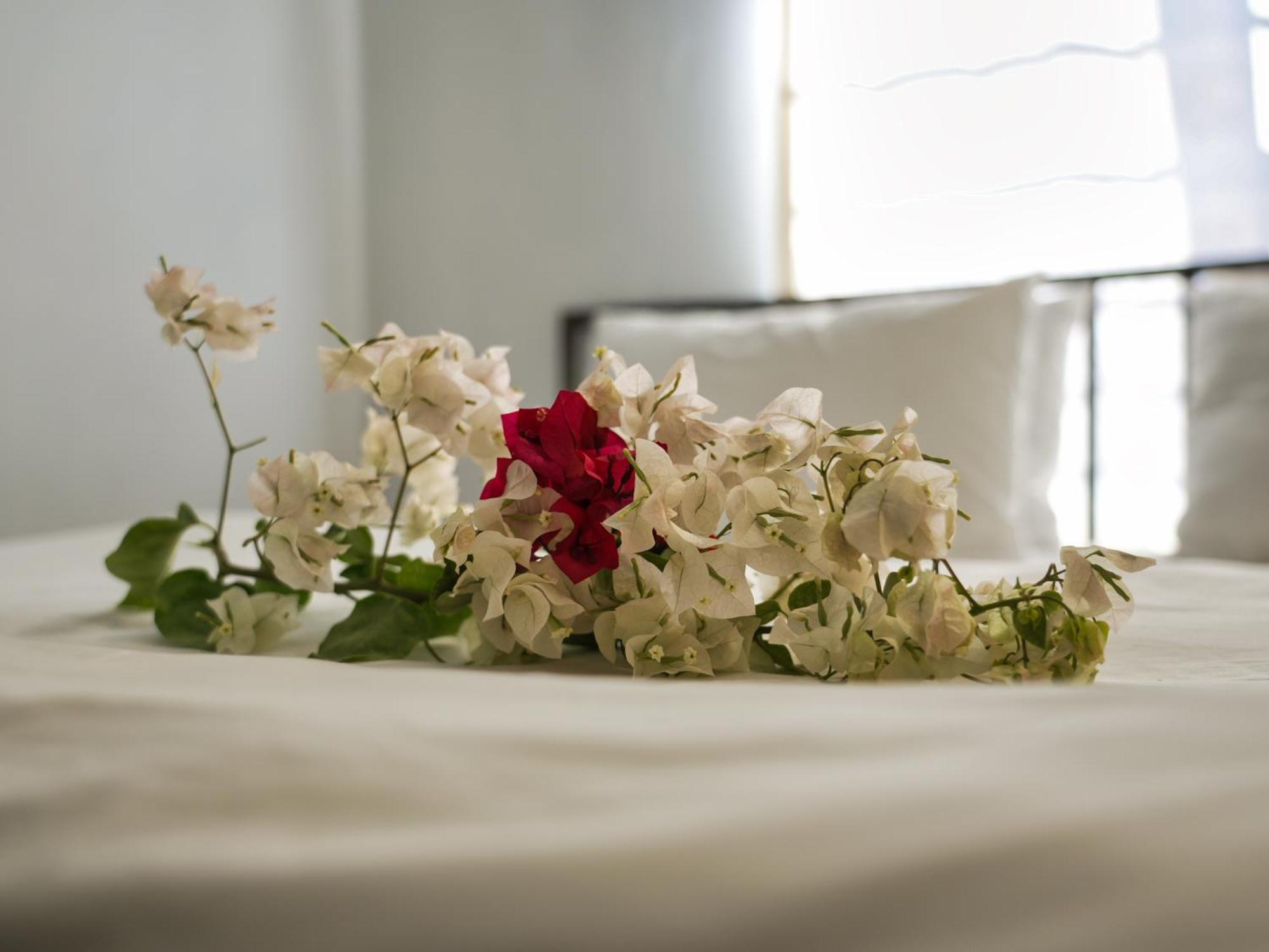 Golentle Home Stay Maun Pokoj fotografie