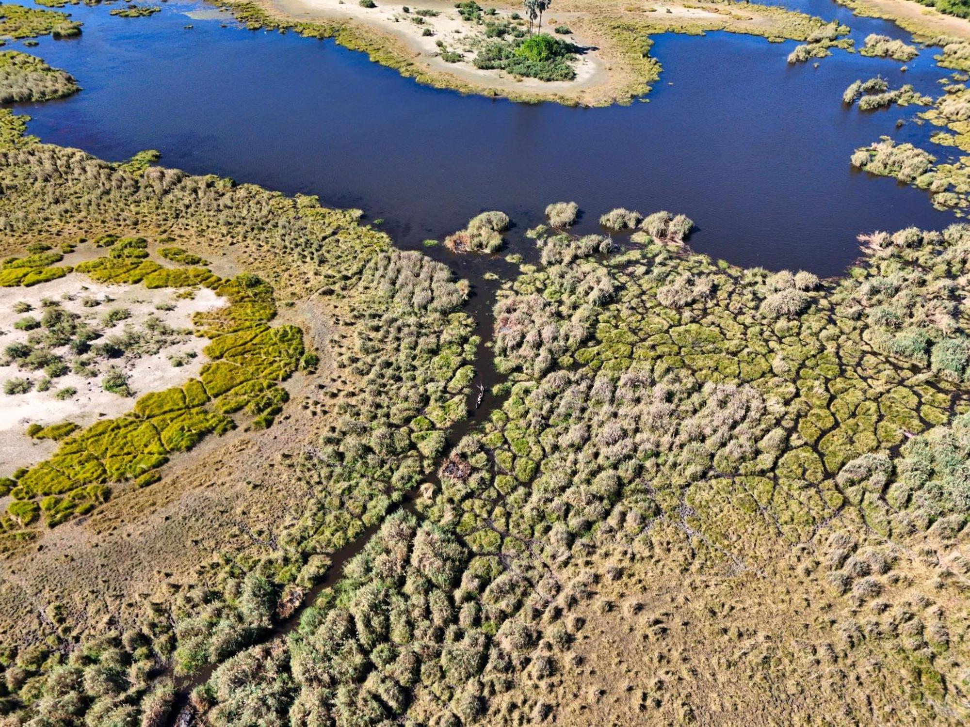 Golentle Home Stay Maun Exteriér fotografie