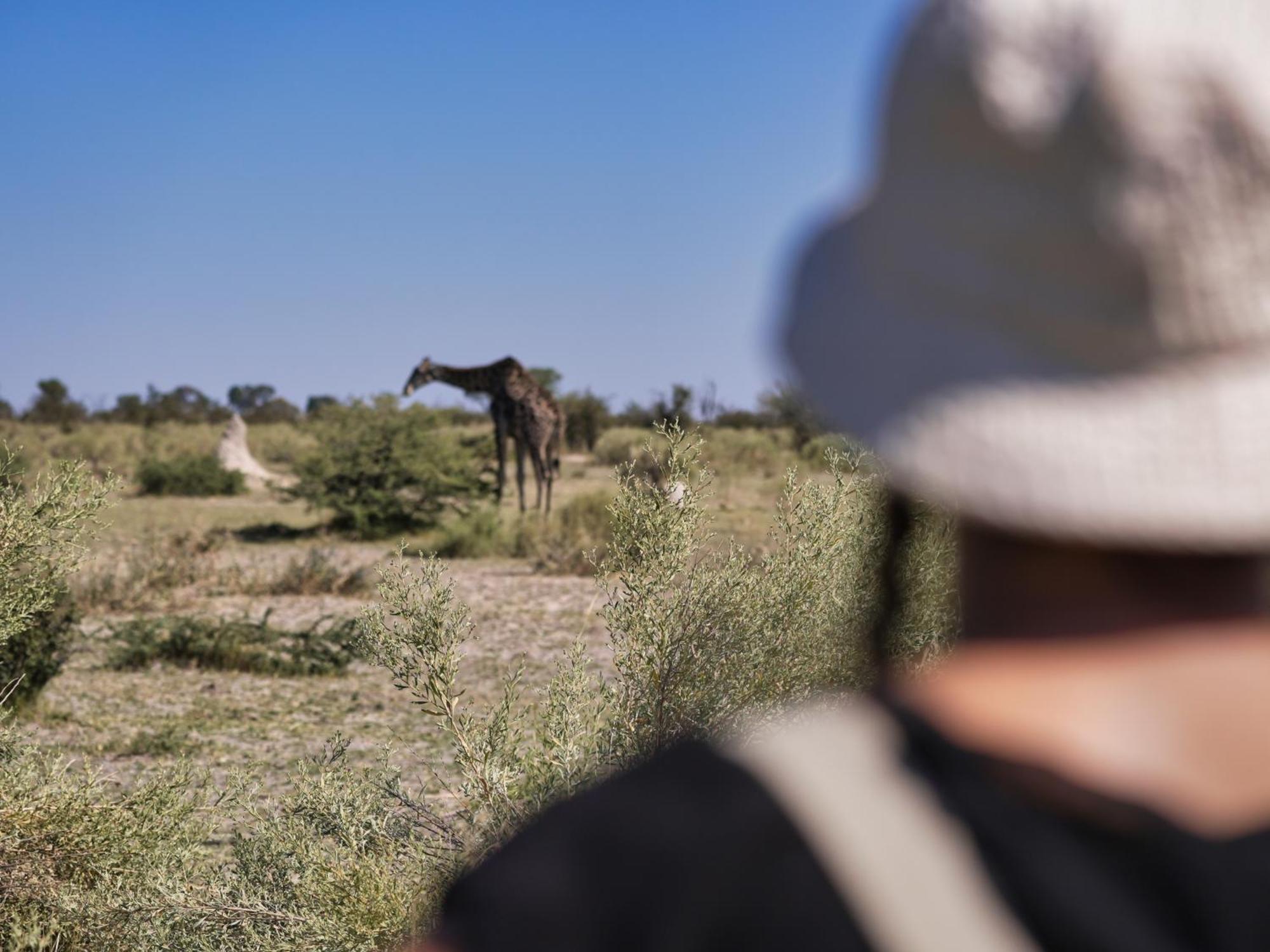 Golentle Home Stay Maun Exteriér fotografie