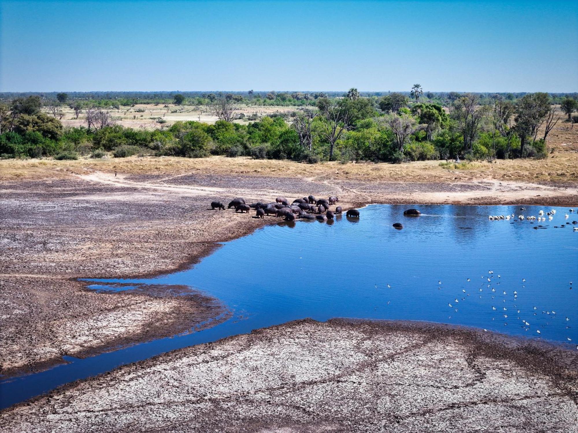 Golentle Home Stay Maun Exteriér fotografie