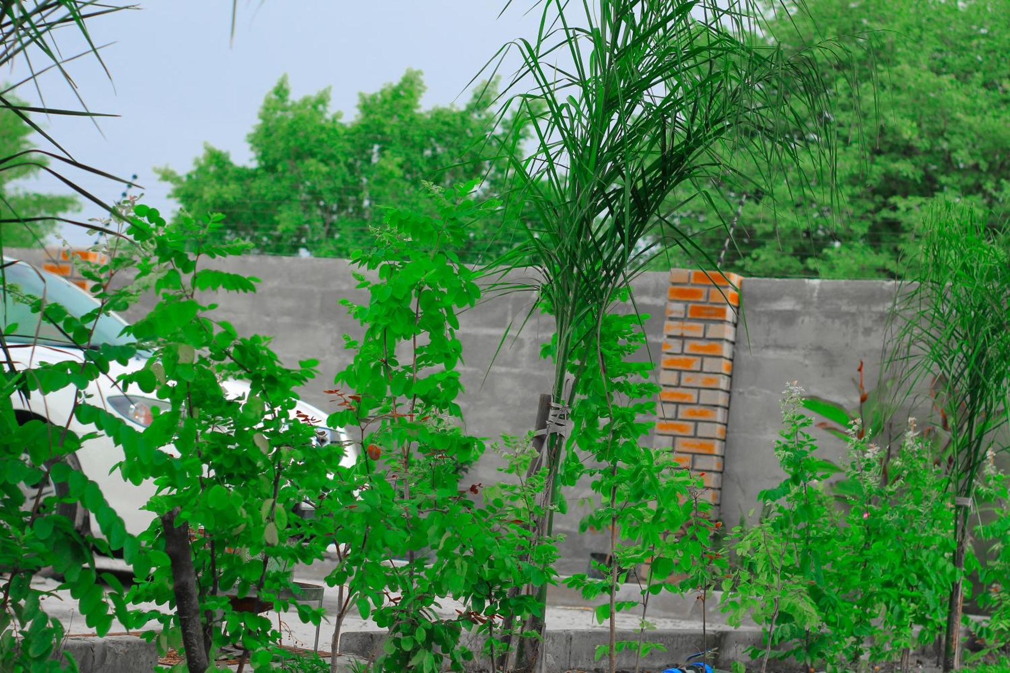 Golentle Home Stay Maun Pokoj fotografie