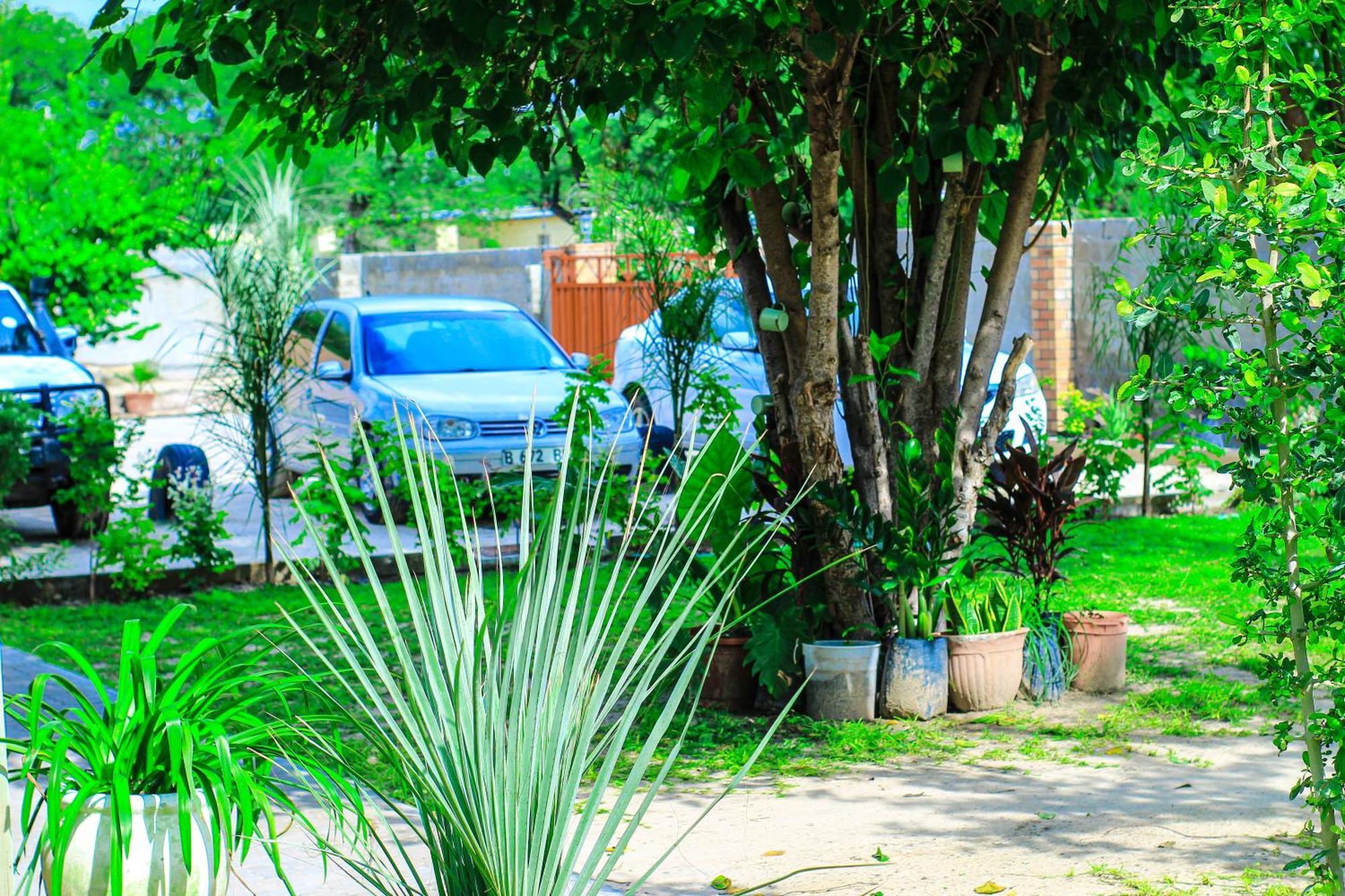 Golentle Home Stay Maun Exteriér fotografie